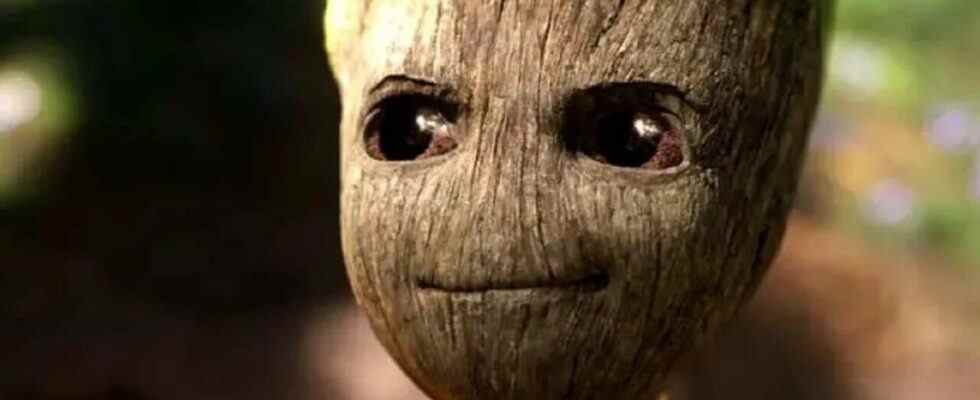 L'aventure fleurit dans la première bande-annonce de I Am Groot, la date de sortie est fixée pour août