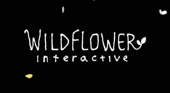 Le réalisateur de The Last of Us, Bruce Straley, dévoile un nouveau studio, Wildflower Interactive