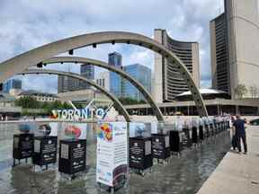 L'installation artistique du Brain Project au Nathan Phillips Square à Toronto est vue avant d'être vandalisée.