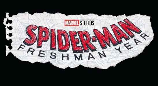 Spider-Man: la première année se lance sur Disney Plus en 2024 avec Charlie Cox de Daredevil