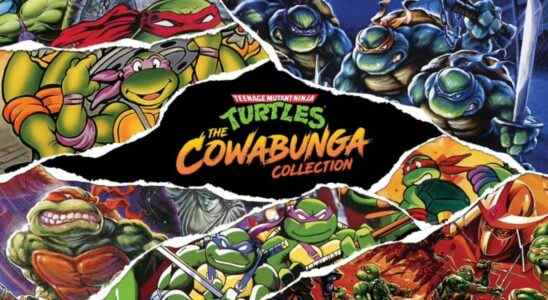 Teenage Mutant Ninja Turtles : la collection Cowabunga sortira en août