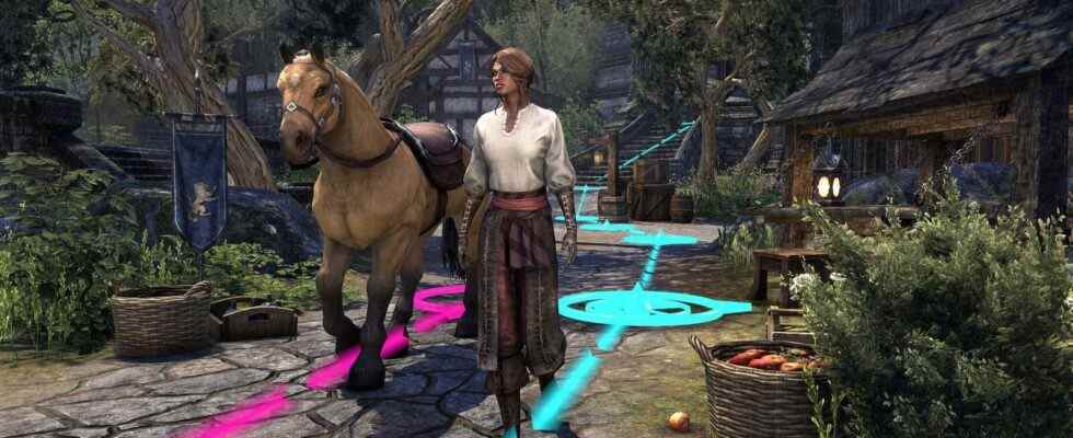 Elder Scrolls Online transformera les maisons des joueurs en dioramas vivants avec des routines de PNJ
