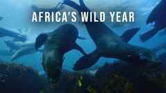 L'année sauvage de l'Afrique - BBC America