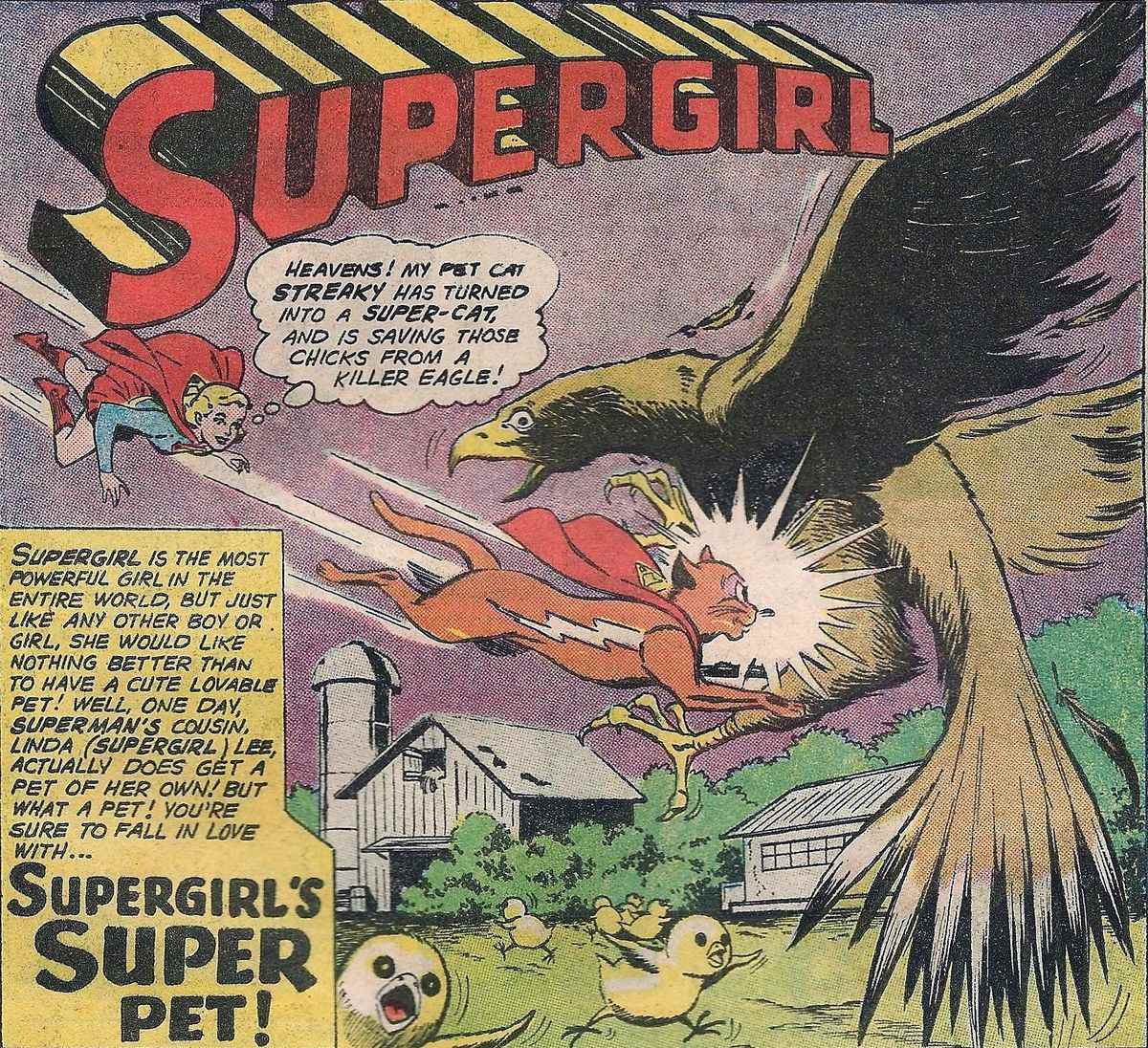 Streaky le Supercat se précipite pour combattre un aigle, qui tentait d'attraper des poussins.  Supergirl regarde