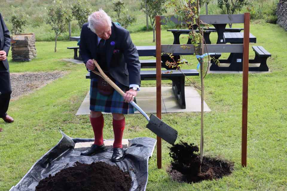 Charles plantant un arbre 
