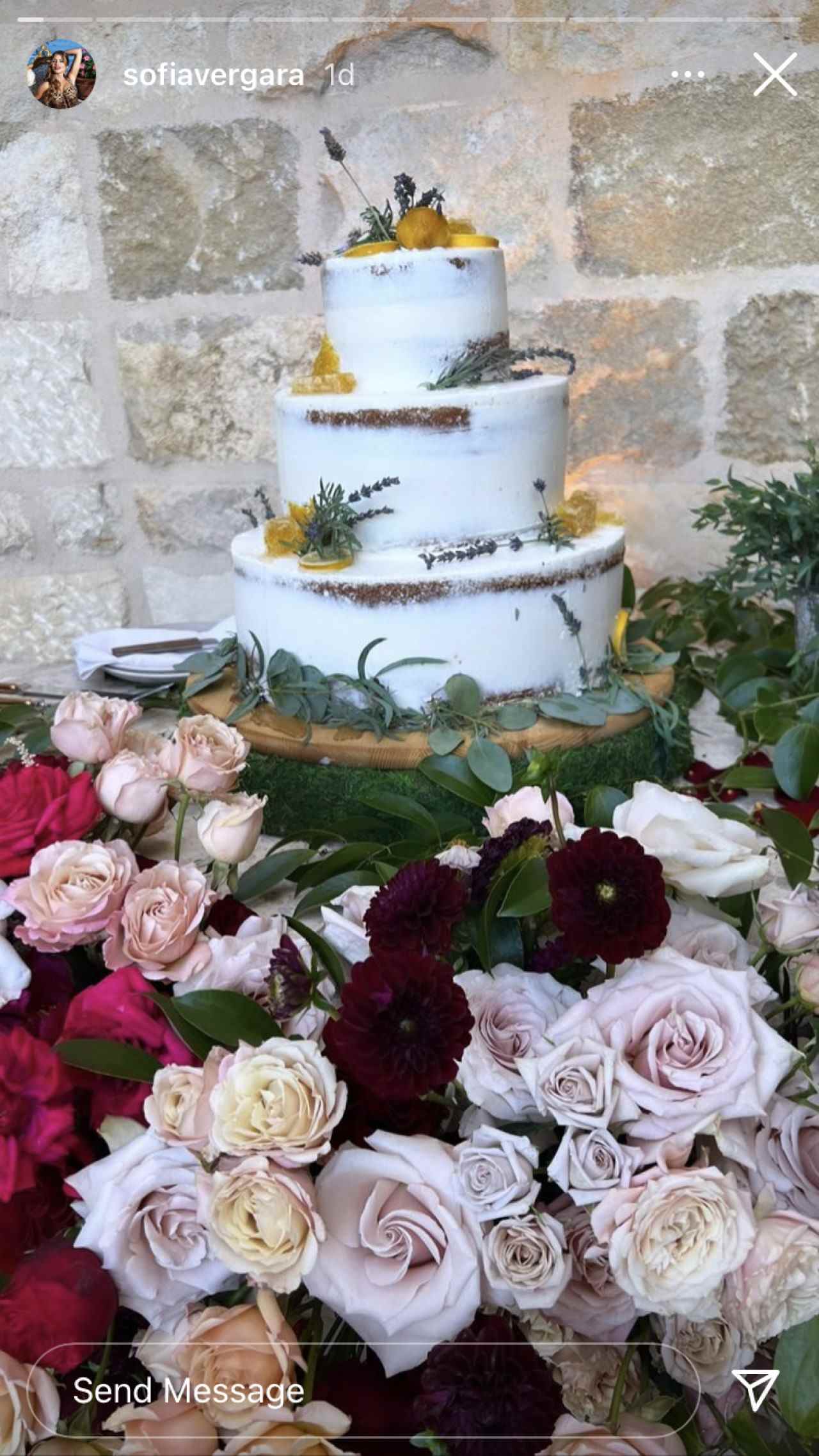 Sofia Vergara a partagé une photo du gâteau de mariage de Sarah Hyland et Wells Adams.