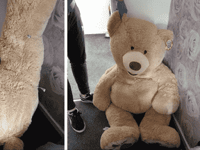Un adolescent se serait caché dans un ours en peluche géant alors que la police le recherchait.  BPF Rochdale.