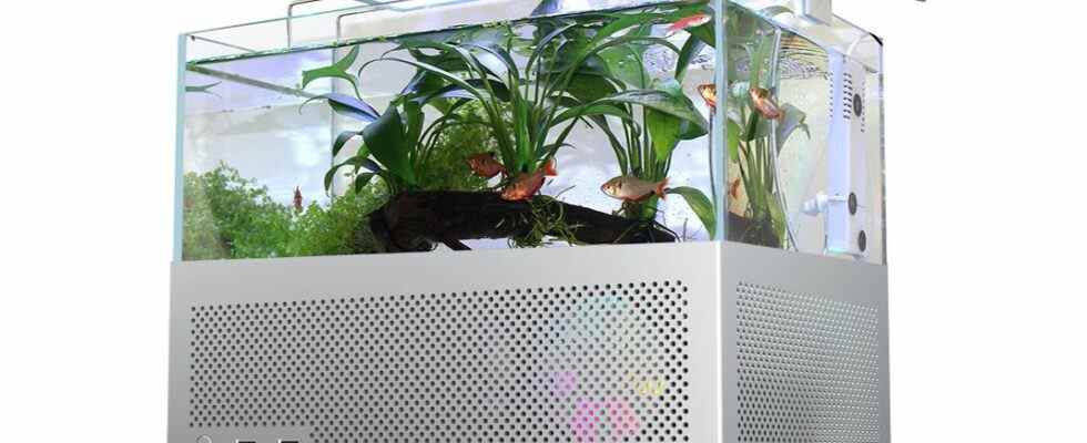 Metalfish fish tank