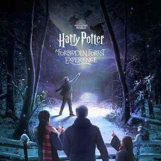 Harry Potter : Une expérience dans la forêt interdite