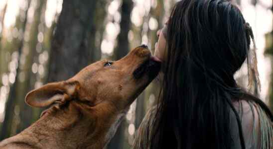 Le chien acteur dans Prey a été adopté spécialement pour le film ⁠⁠– Et elle était un "Hot Mess"