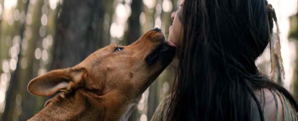 Le chien acteur dans Prey a été adopté spécialement pour le film ⁠⁠– Et elle était un "Hot Mess"