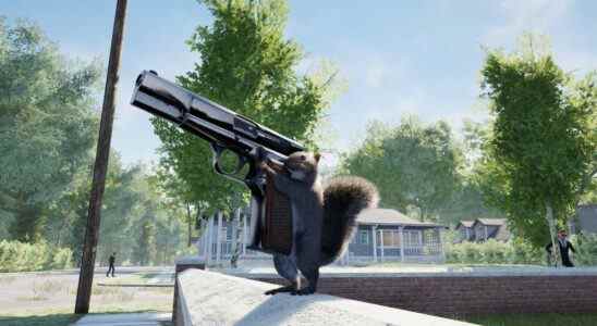 L'écureuil avec une arme à feu est exactement ce à quoi il ressemble