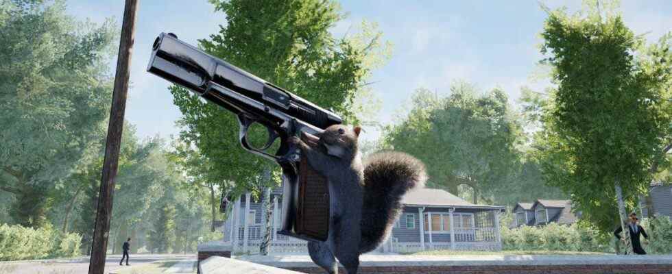 L'écureuil avec une arme à feu est exactement ce à quoi il ressemble