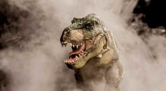 Les dinosaures carnivores ont échangé leurs petits yeux contre une morsure plus dure