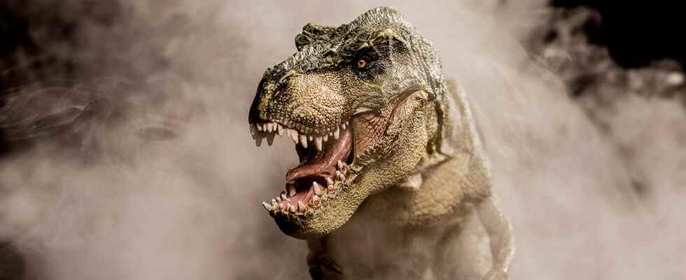 Les dinosaures carnivores ont échangé leurs petits yeux contre une morsure plus dure