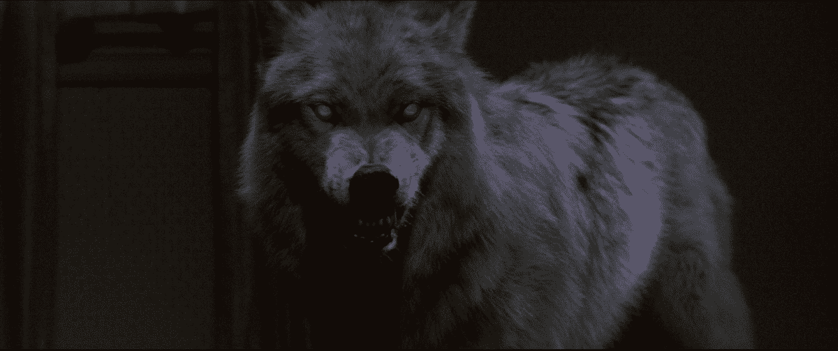 Un loup aux yeux rouges grogne dans Fright Night