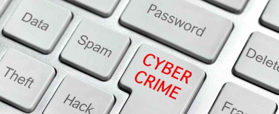 Cyber Crime Button