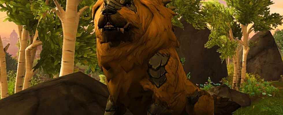 Vous pouvez caresser le chien dans World of Warcraft Dragonflight