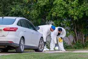 Des enquêteurs en équipement de protection examinent le sol sur une scène de crime à Weldon, en Saskatchewan, le dimanche 4 septembre 2022.