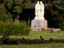 Des lapins sont vus au cimetière Holy Cross au 14611 Mark Messier Trail à Edmonton, le vendredi 31 juillet 2020. Des groupes de lapins se sont détendus à l'ombre des arbres du cimetière. 