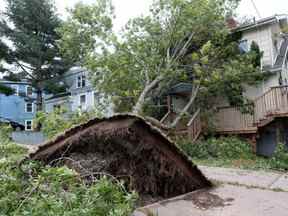 Un arbre tombé se trouve sur une maison après le passage de l'ouragan Fiona, plus tard déclassé en tempête post-tropicale, à Halifax, Nouvelle-Écosse, Canada le 24 septembre 2022.