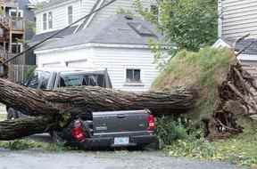 Un arbre tombé repose sur une camionnette écrasée après le passage de l'ouragan Fiona, plus tard rétrogradé en tempête post-tropicale, à Halifax, Nouvelle-Écosse, Canada le 24 septembre 2022.
