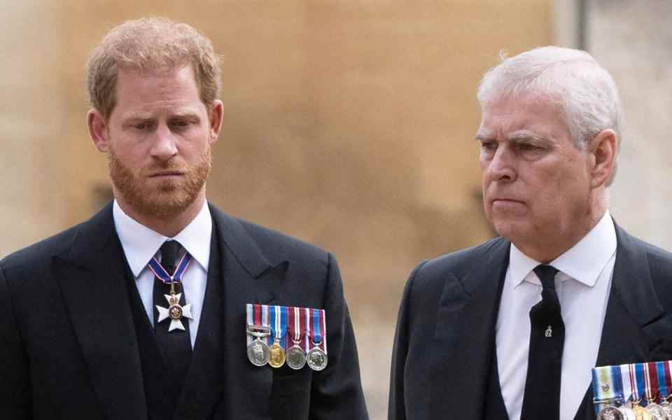 Princes Harry et Andrew - DAVID ROSE/POOL/AFP via Getty Images