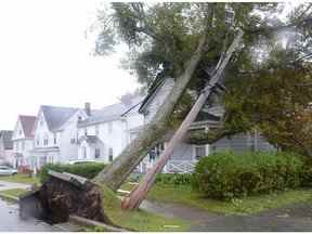 Des arbres tombés s'appuient contre une maison à Sydney, en Nouvelle-Écosse, alors que la tempête post-tropicale Fiona continue de frapper les Maritimes le samedi 24 septembre 2022.