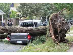 Un arbre tombé repose sur une camionnette écrasée après le passage de l'ouragan Fiona, plus tard déclassé en tempête post-tropicale, à Halifax, en Nouvelle-Écosse, le 24 septembre 2022.
