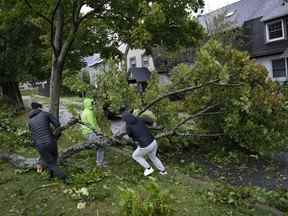 Des gens s'efforcent de tirer une branche d'arbre tombée de leur rue alors que la tempête post-tropicale Fiona cause des dégâts considérables à Halifax, le 24 septembre.