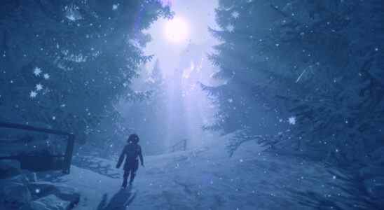 Jeu de puzzle d'aventure Skábma: Snowfall prévu pour Switch