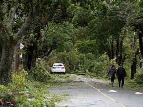Des résidents passent devant des arbres et des lignes électriques ont été abattues à Halifax, en Nouvelle-Écosse, au Canada, le 24 septembre.