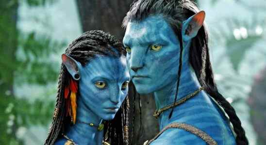 Le directeur d'Avatar dit que les gens qui l'ont regardé à la maison "ne l'ont vraiment pas vu"