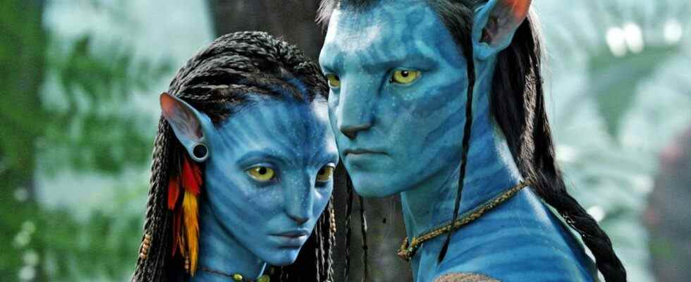 Le directeur d'Avatar dit que les gens qui l'ont regardé à la maison "ne l'ont vraiment pas vu"