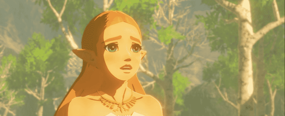 Nintendo dissipe la confusion sur le nom de Zelda : Tears of the Kingdom