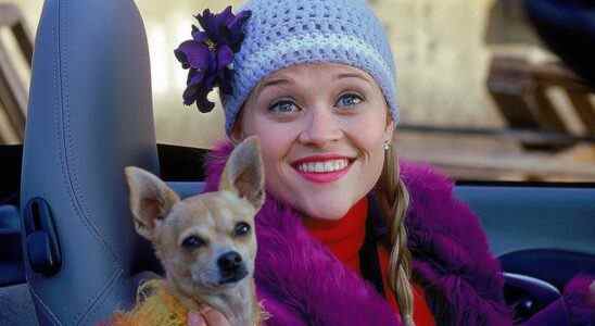 Reese Witherspoon as Elle Woods with dog Bruiser in Legally Blonde