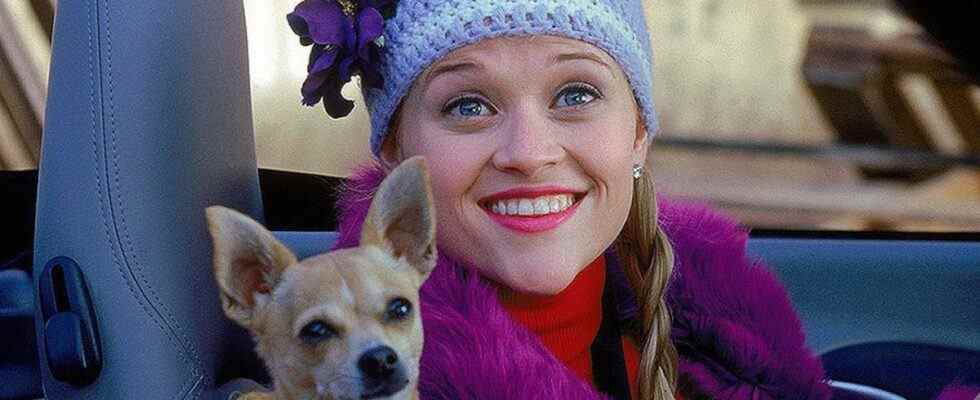 Reese Witherspoon as Elle Woods with dog Bruiser in Legally Blonde