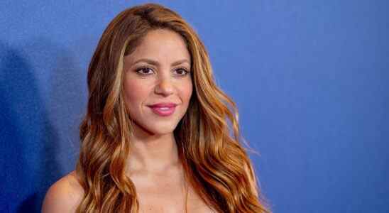 Shakira aborde la fraude fiscale présumée : "Je dois me battre pour ce que je crois"