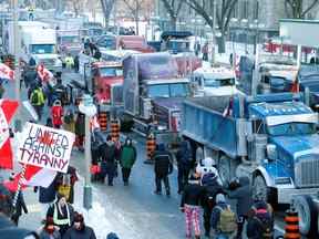 Des camions sont garés sur la rue Wellington près des édifices du Parlement alors que des camionneurs et leurs partisans participent à un convoi pour protester contre les mandats de vaccination contre la COVID, le 29 janvier 2022.