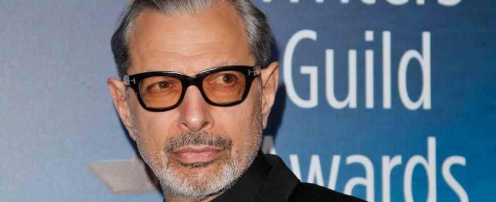 Jeff Goldblum de Marvel pourrait potentiellement rejoindre les films Wicked