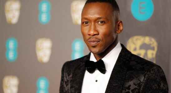 US actor Mahershala Ali poses on the red carpet upon arrival at the BAFTA British Academy Film Awards at the Royal Albert Hall in London on February 10, 2019. (Photo by Tolga AKMEN / AFP)        (Photo credit should read TOLGA AKMEN/AFP via Getty Images)