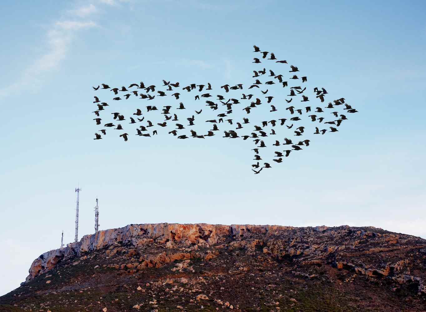 Volée d'oiseaux volant en formation de flèche au-dessus d'une colline avec quelques mâts de communication et de téléphonie mobile.