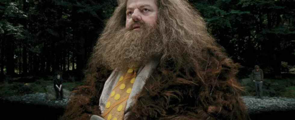 Robbie Coltrane as Rubeus Hagrid in Harry Potter and the Prisoner of Azkaban