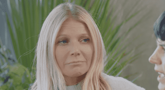 Gwyneth Paltrow in The Goop Project