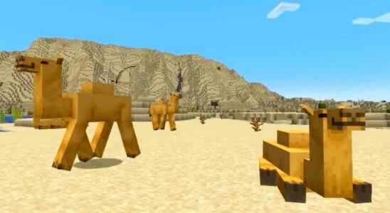La prochaine grande mise à jour de Minecraft ajoutera des chameaux, du bambou à fabriquer, etc.