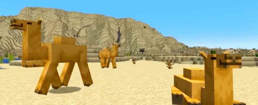 La prochaine grande mise à jour de Minecraft ajoutera des chameaux, du bambou à fabriquer, etc.