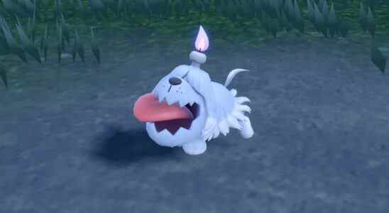 Le plus récent Pokémon de Scarlet & Violet est un petit chiot effrayant