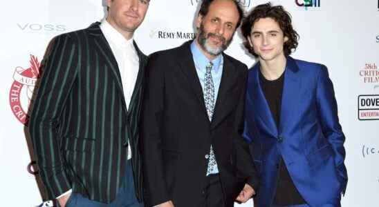 LONDON, ENGLAND - JANUARY 28:  Armie Hammer, Luca Guadagnino and Timothee Chalamet attend the London Film Critics Circle Awards 2018 at The May Fair Hotel on January 28, 2018 in London, England.  (Photo by Karwai Tang/WireImage)