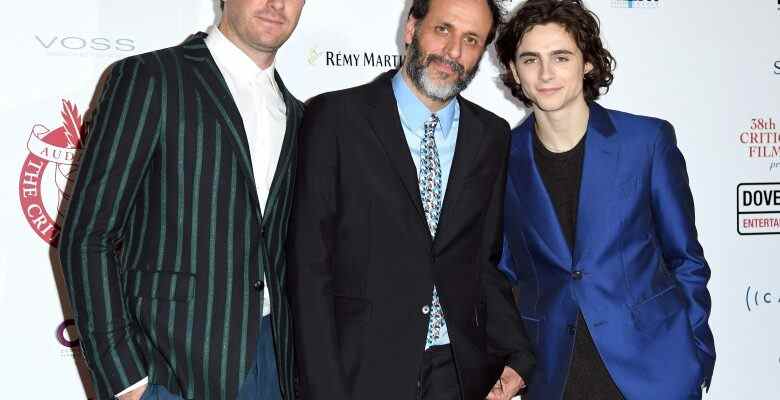 LONDON, ENGLAND - JANUARY 28:  Armie Hammer, Luca Guadagnino and Timothee Chalamet attend the London Film Critics Circle Awards 2018 at The May Fair Hotel on January 28, 2018 in London, England.  (Photo by Karwai Tang/WireImage)