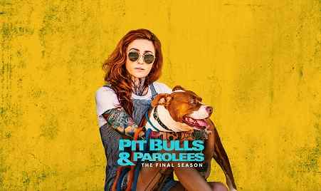 Pit Bulls and Parolees TV show on Animal Planet: (canceled or renewed?)